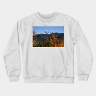 850_2711 Crewneck Sweatshirt